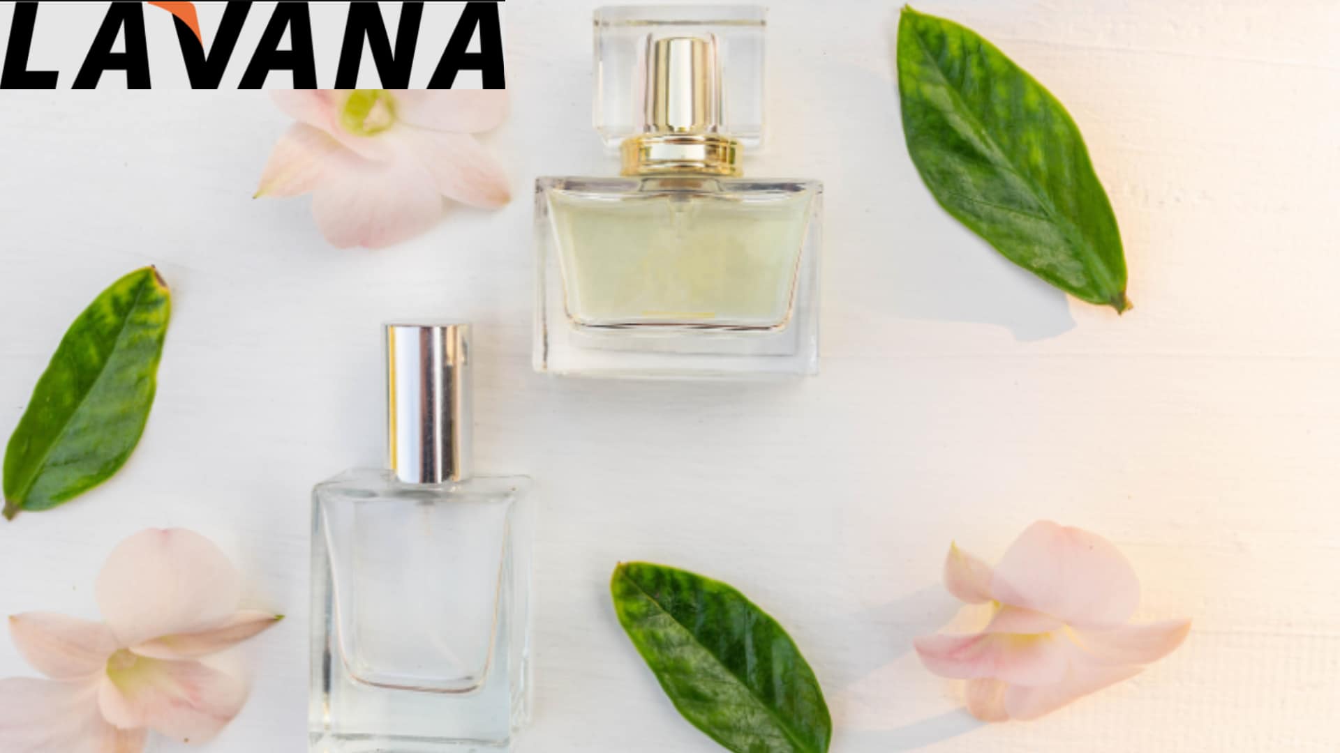 عطر مستوحى لجميع الأوقات